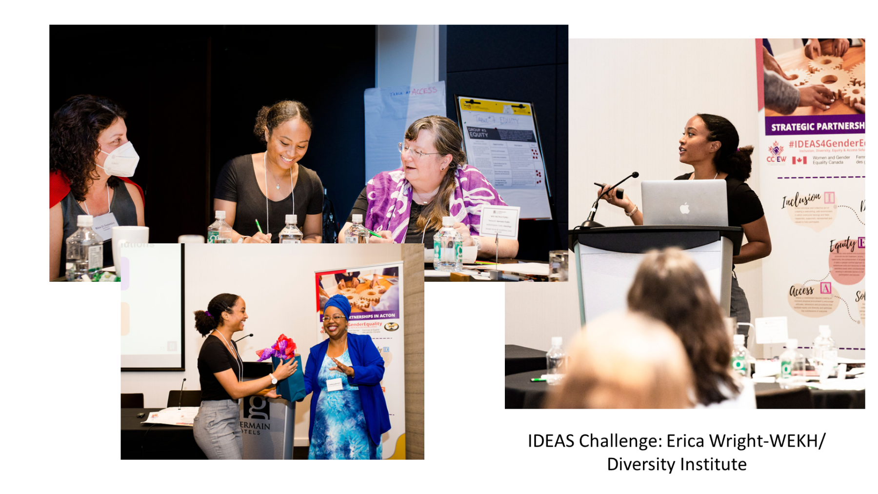 IDEAS Challenge: Erica Wright - WEKH Diversity Institute