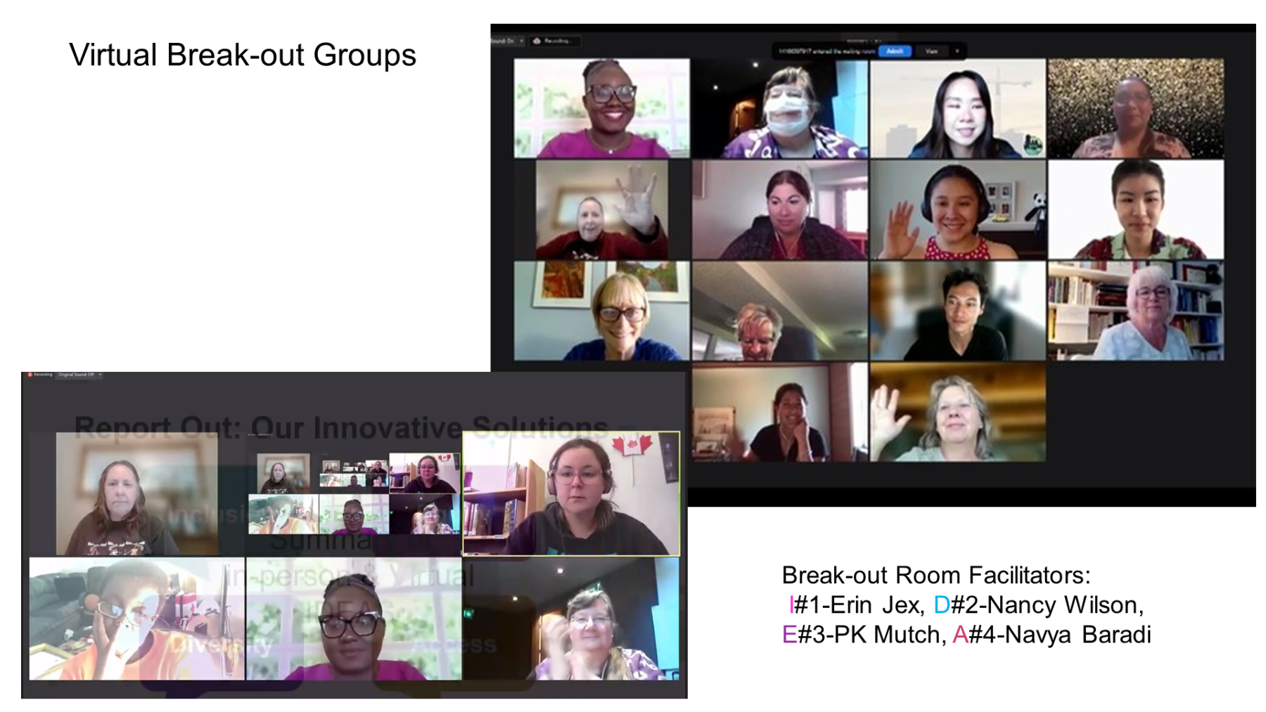 Virtual Break-out Groups